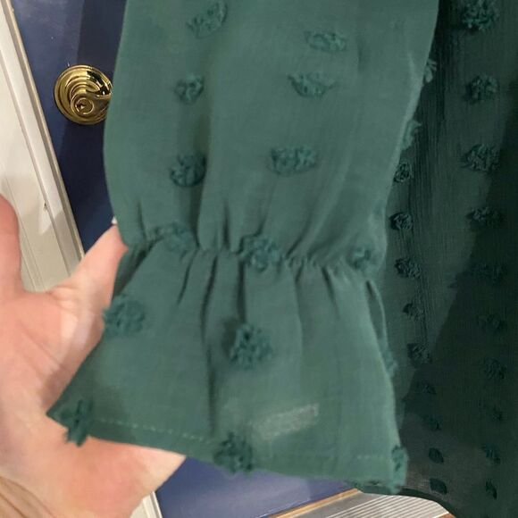 Adibosy new with tags chiffon green Swiss dot dress size small - Picture 6 of 7